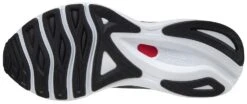 Mizuno Men's Wave Sky 5 -Run Gear Shop 411327 9090 02
