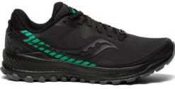 Saucony Women's Peregrine Ice+ 2