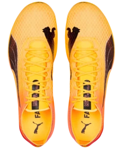 PUMA Unisex EvoSPEED Distance Nitro Elite+ 2 10 PUMA Unisex EvoSPEED Distance Nitro Elite+ 2 -Run Gear Shop Screenshot2022 12 30134559 Edited