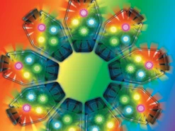 Amphipod Ultra-Strobe 2 Pack - Rainbow (4904-29) 9 Amphipod Ultra-Strobe 2 Pack - Rainbow (4904-29) -Run Gear Shop rainbow ultra strobe clip lights 68495