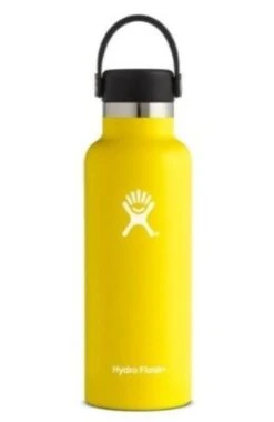 Hydro Flask 18 Oz Standard Mouth Bottles W/ Flex Cap (S18SX) -Run Gear Shop s l500